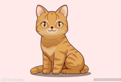 动漫 猫,猫咪的奇幻冒险之旅