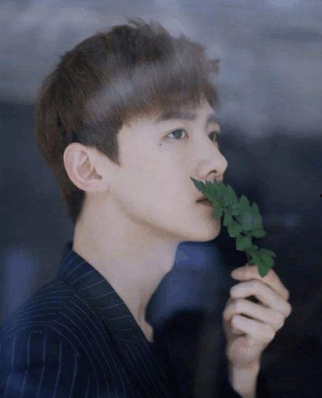 娱乐圈理性吃瓜白敬亭